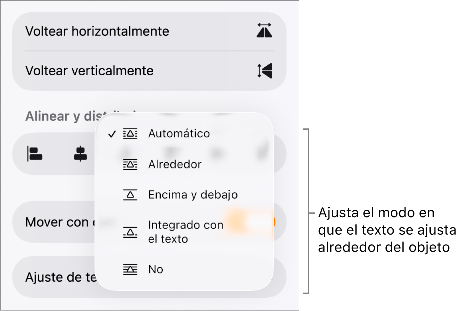 Los controles de Formato con la pestaña Disposición seleccionada. Debajo aparecen los controles de ajuste del texto, que incluyen “Mover a capa inferior/superior”, “Mover con texto” y “Ajuste de texto”.