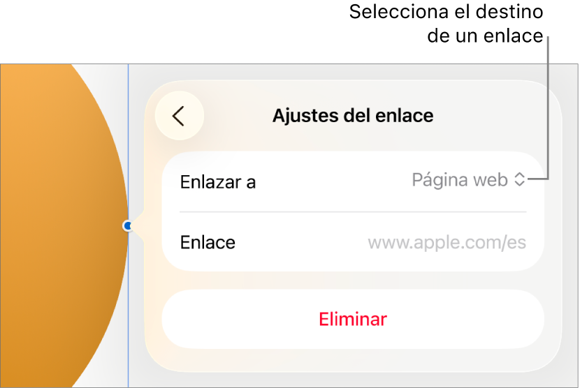 Controles de “Ajustes de enlace” con la opción “Página web” seleccionada y el botón Eliminar en la parte inferior.