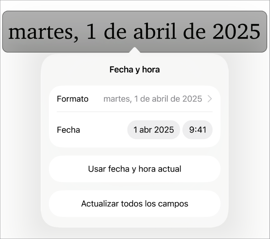 Los controles “Fecha y hora” con un menú desplegable para el formato de fecha y los botones “Ajustar a ahora” y “Ajustar todos los campos”.