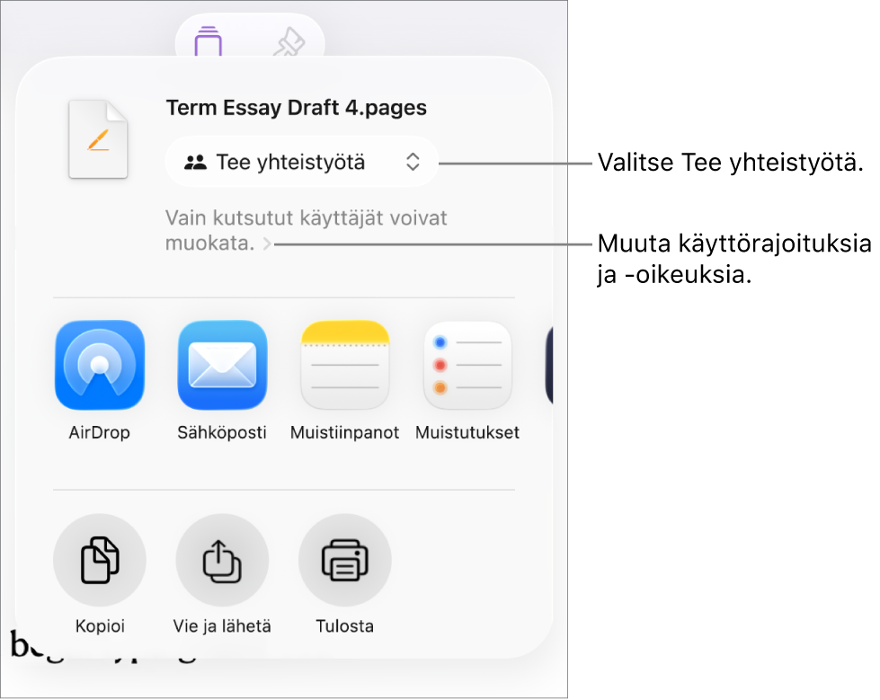 Jaa-valikko, jossa on ylhäällä valittuna Tee yhteistyötä, ja sen alla ovat käyttöoikeus- ja lupa-asetukset.