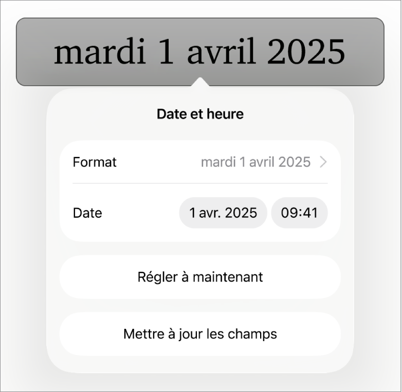 Les commandes Date et heure affichant un menu contextuel pour le format de date ainsi que les boutons Régler à maintenant et Mettre à jour tous les champs.