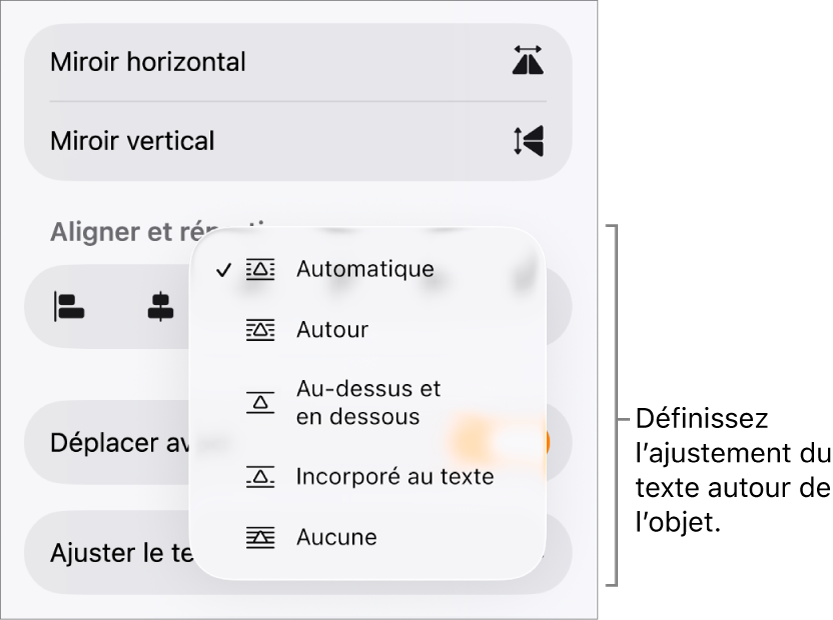 Les commandes Format avec l’onglet Disposition sélectionné. En dessous se trouvent les commandes « Ajustement du texte » avec les options « Déplacer vers l’arrière/avant », « Déplacer avec texte » et « Ajustement du texte ».
