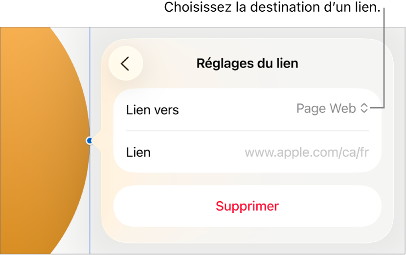 Les commandes Réglages du lien avec l’option Page Web sélectionnée au-dessus du bouton Supprimer.