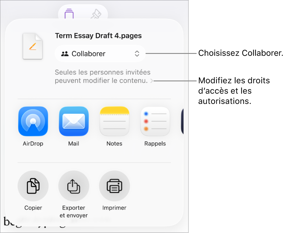 Le menu Partager avec l’option Collaborer sélectionnée dans le haut, au-dessus des réglages d’accès et d’autorisation.