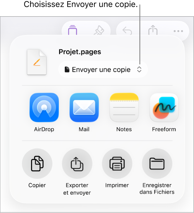 Le menu Partager avec l’option Envoyer une copie sélectionnée dans le haut.