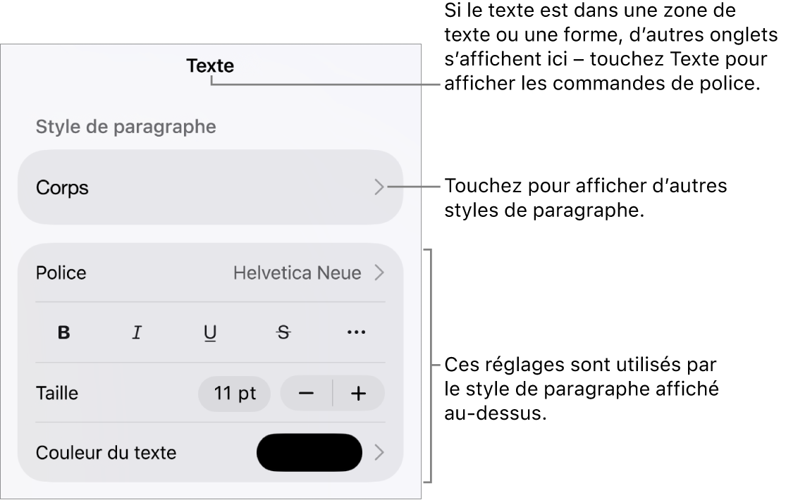 Menu Format avec commandes de texte permettant de définir les styles, la police, la taille et la couleur des paragraphes et des caractères.