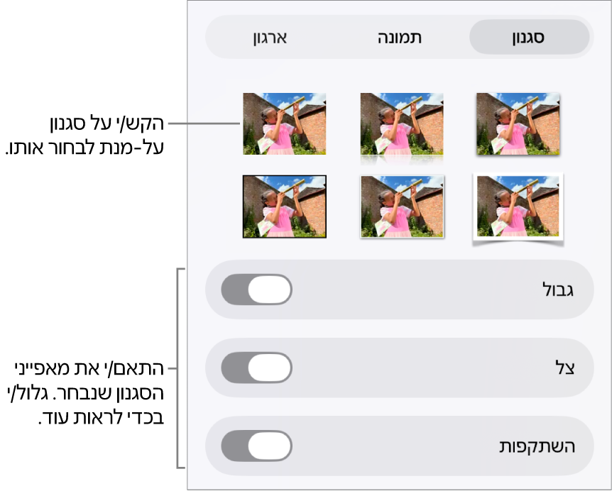 הכרטיסייה ״סגנון״ בתפריט ״עיצוב״ עם סגנונות אובייקטים בחלק העליון ומתחת להם כלי בקרה לשינוי הגבול, הצללית, ההשתקפות והאטימות.
