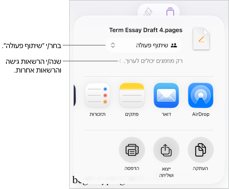 תפריט השיתוף כאשר האפשרות ״שיתוף פעולה״ נבחרת בחלק העליון ומתחתיה הגדרות הגישה וההרשאות.