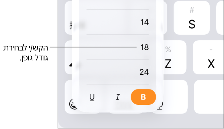 הכפתור ״גודל גופן״ מימין למקלדת ה‑iPad עם התפריט ״גודל גופן״ פתוח. גדלי הגופן התקניים על פי ממשלת סין מיינלנד יופיעו בראש התפריט. מתחת להם יוצגו הגדלים בנקודות.