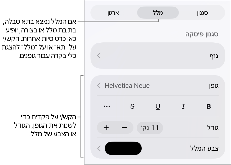 כלי בקרה של מלל בתפריט ״עיצוב״ להגדרת סגנונות, גופן, גודל וצבע עבור פיסקאות ותווים.