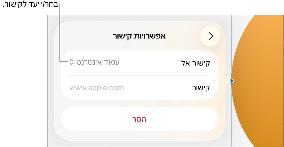 כלי הבקרה של ״אפשרויות קישור״ כאשר האפשרות ״עמוד אינטרנט״ נבחרת ובחלק התחתון מוצג הכפתור ״הסר״.