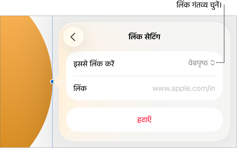 चुने गए वेबपृष्ठ के साथ लिंक सेटिंग्ज़ नियंत्रण और सबसे नीचे “लिंक हटाएँ” बटन।