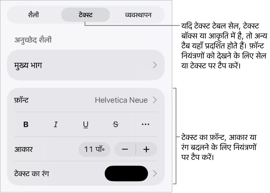 “फ़ॉर्मैट” मेनू में अनुच्छेद सेटिंग और वर्ण शैली, फ़ॉन्ट, आकार और रंग के लिए टेक्स्ट नियंत्रण।