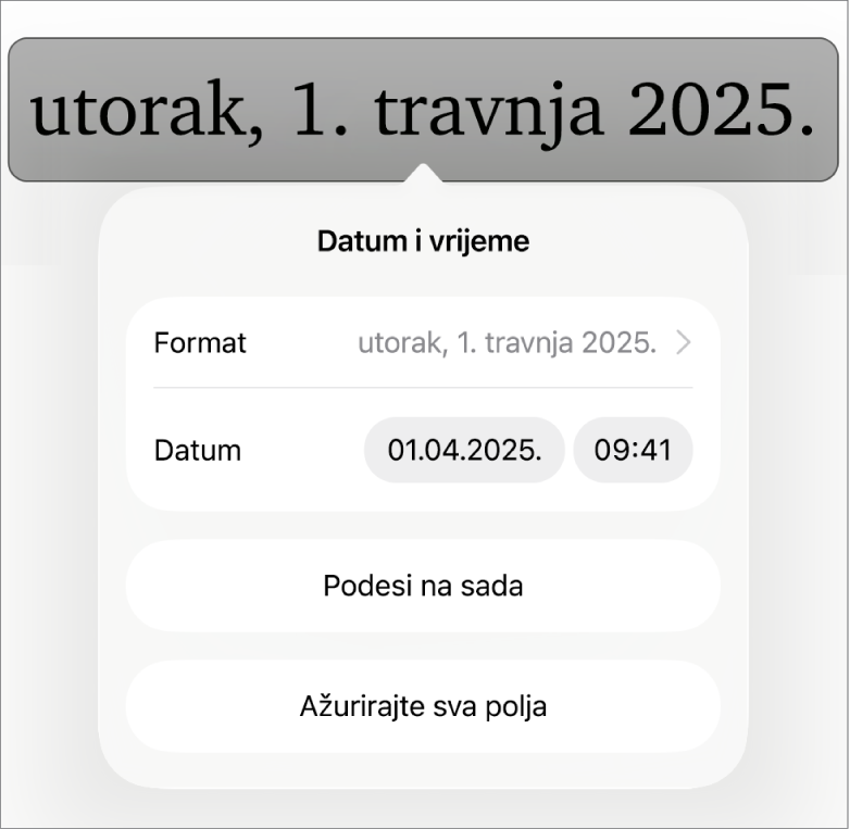Kontrole za Datum i vrijeme koje prikazuju skočni izbornik za format i tipke Podesi na sada i Ažuriraj sva polja.