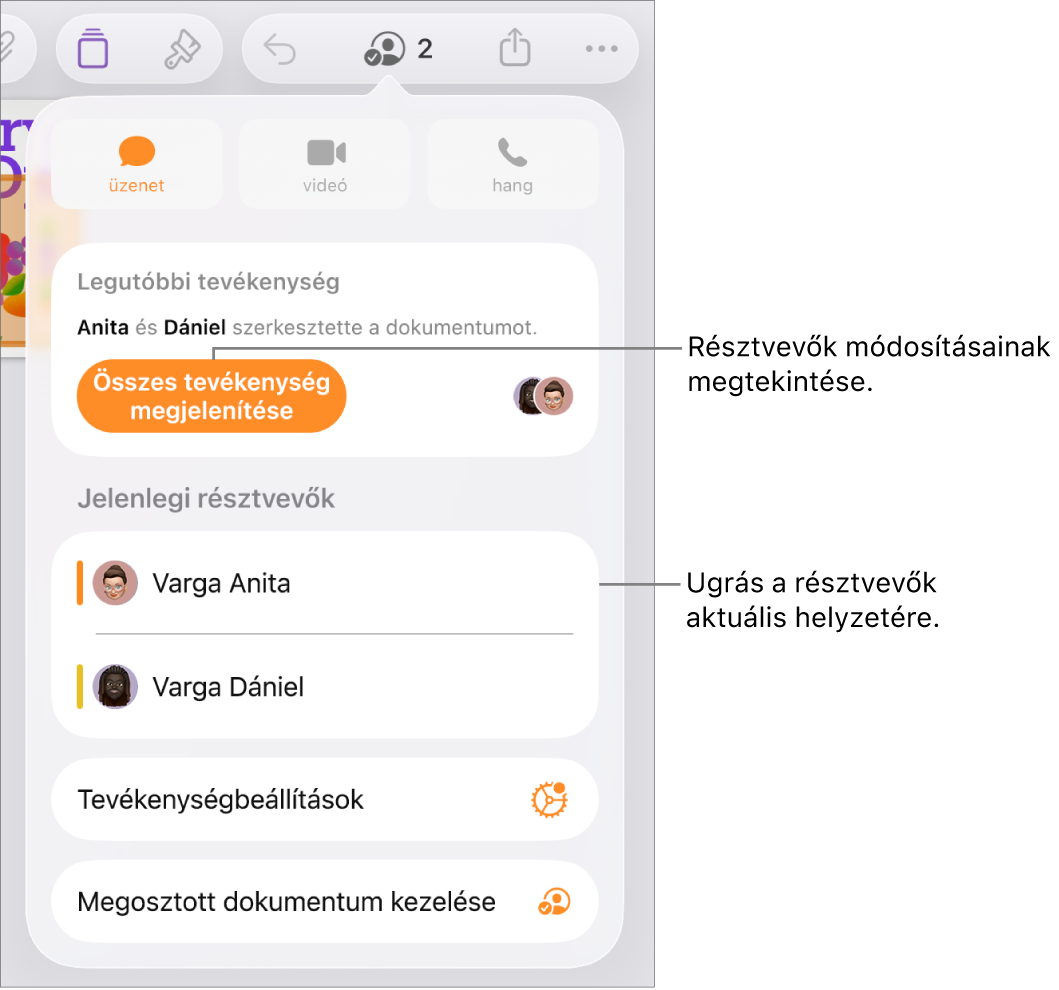 Az együttműködési menü a jelenlegi résztvevőkkel.