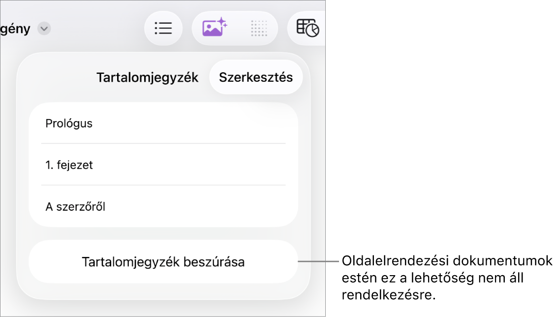 A tartalomjegyzék nézete a jobb felső sarokban a Szerkesztés gombbal, tartalomjegyzék-bejegyzésekkel és alul a Tartalomjegyzék beszúrása gombbal.