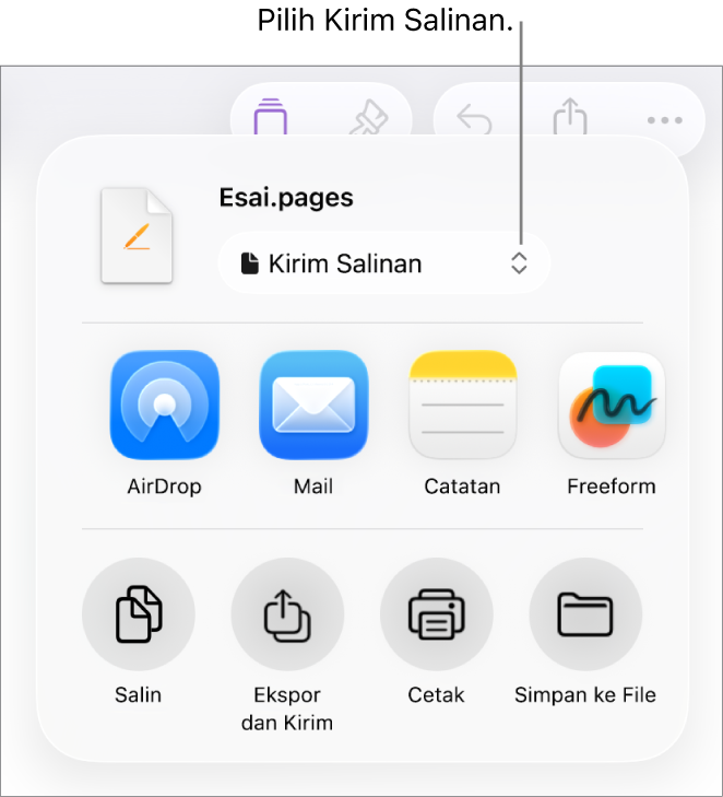 Menu Bagikan dengan Kirim Salinan dipilih di bagian atas.