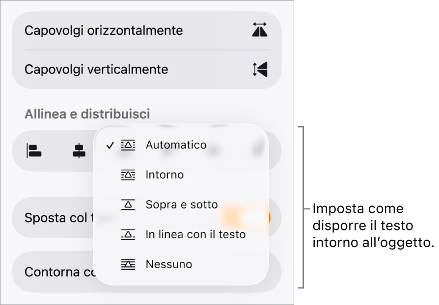 I controlli di Formattazione con il pannello Disposizione selezionato. Al di sotto si trovano i controlli di “Contorna con testo” con “Sposta indietro/avanti”, “Sposta col testo” e “Disposizione testo”.