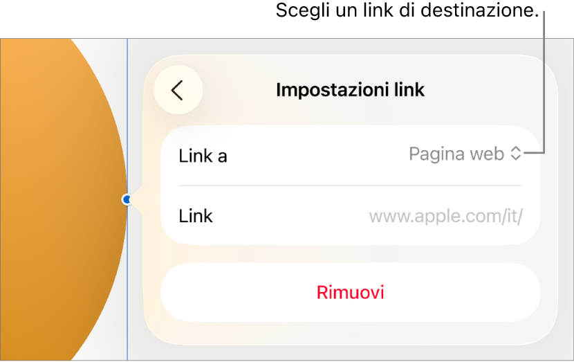 I controlli delle impostazioni dei link con la pagina web selezionata e con il pulsante per rimuovere il link mostrato in basso.