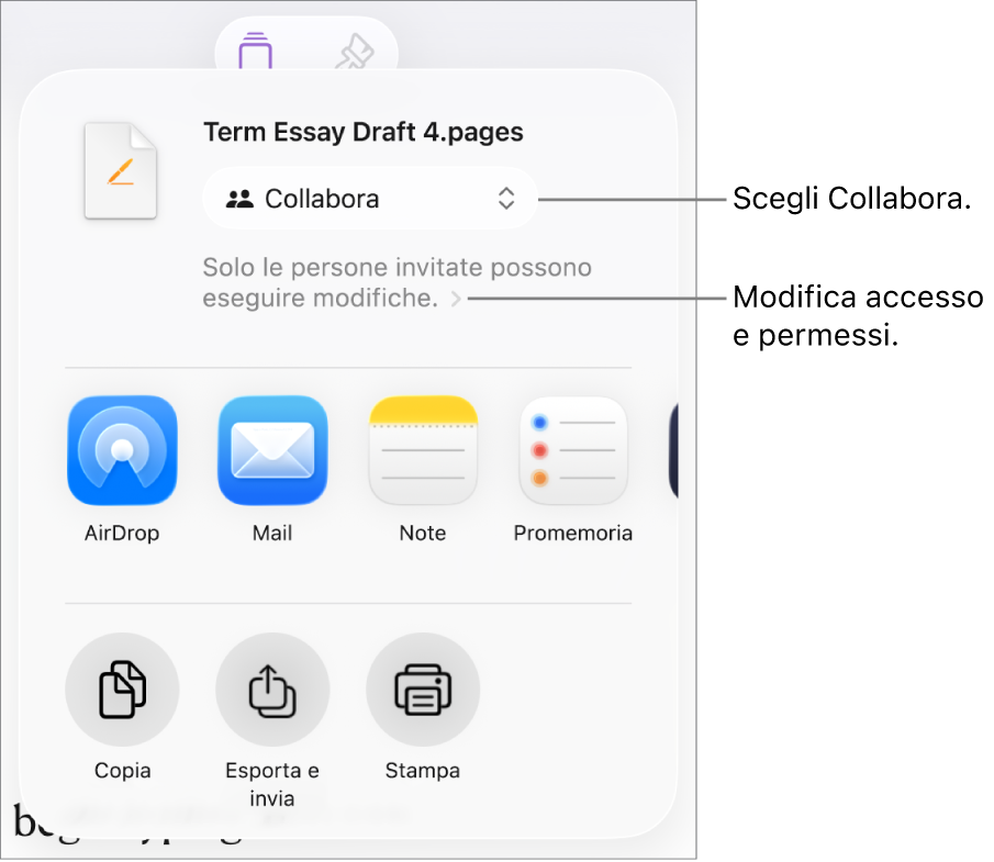 Il menu di condivisone con l’opzione Collabora selezionata in alto e le impostazioni di accesso e dei permessi sotto.