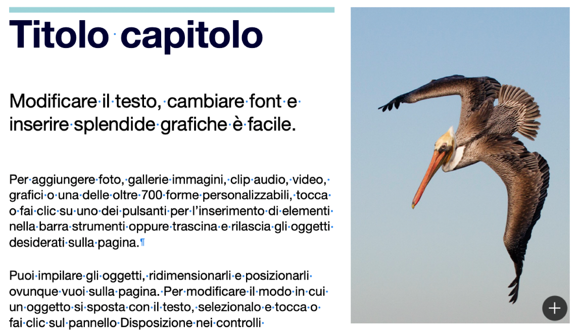 Testo con i simboli per un’interruzione di paragrafo e un’interruzione di sezione.