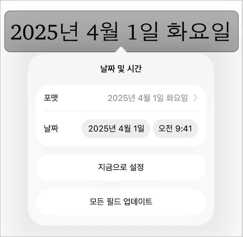 날짜 포맷에 대한 팝업 메뉴와 ‘지금으로 설정’ 및 ‘모든 필드 업데이트’ 버튼을 표시하는 날짜 및 시간 제어기.