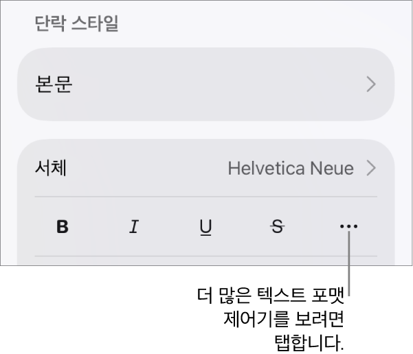 추가 텍스트 옵션에 대한 설명이 있는 포맷 제어기의 텍스트 탭.