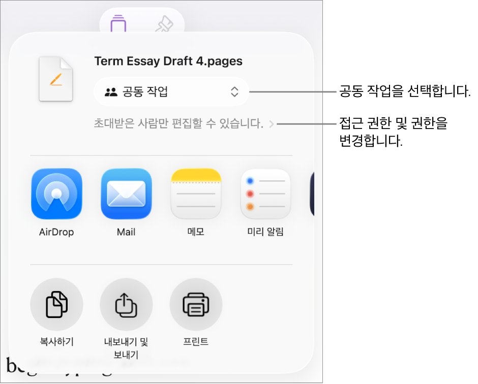 상단에 공동 작업이 선택되어 있는 공유 메뉴가 있고, 그 아래에는 접근 및 권한 설정이 있음.