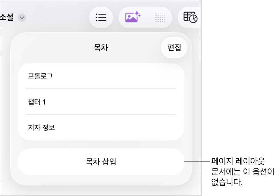 오른쪽 상단 모서리에 편집 버튼이 있고 하단에 목차 항목 및 목차 삽입 버튼이 있는 목차 보기.
