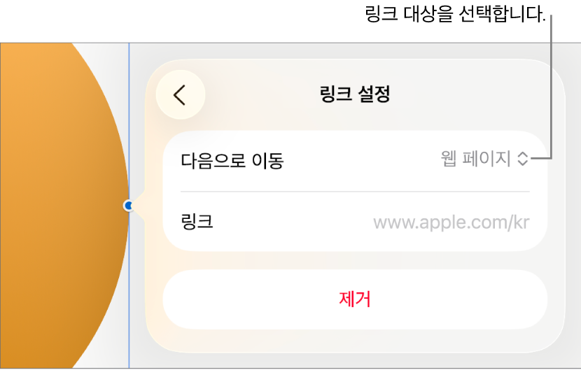 웹 페이지가 선택되어 있고, 하단에 제거 버튼이 있는 링크 설정 제어기.