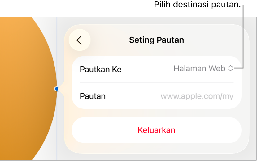 Kawalan Seting Pautan dengan Halaman Web dipilih dan butang Keluarkan di bahagian bawah.