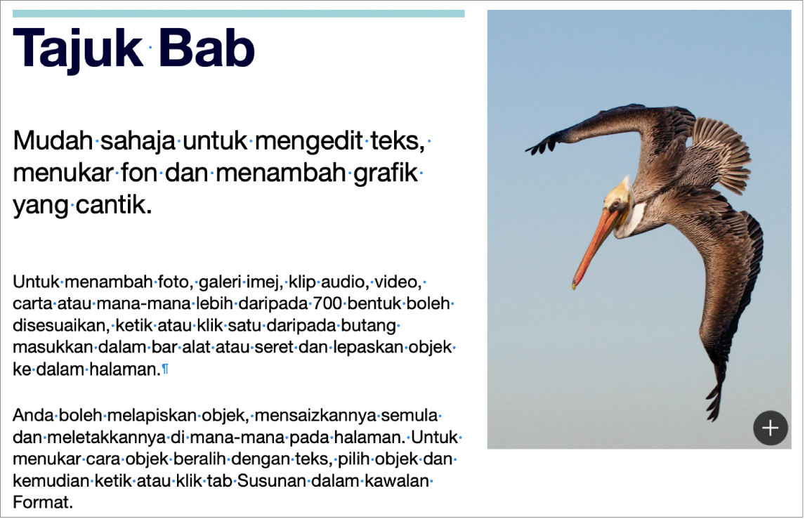 Teks menunjukkan simbol untuk pemisah perenggan dan pemisah bahagian.