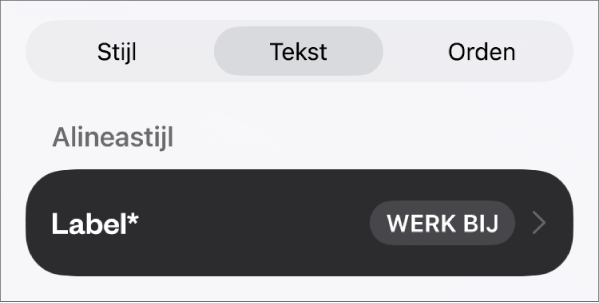 De alineastijl 'Hoofdtekst' met een sterretje ernaast en rechts de knop 'Werk bij'.