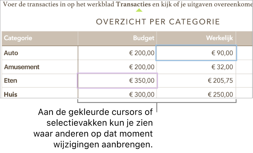 Cursors en selecties in verschillende kleuren geven aan waar anderen wijzigingen aanbrengen.