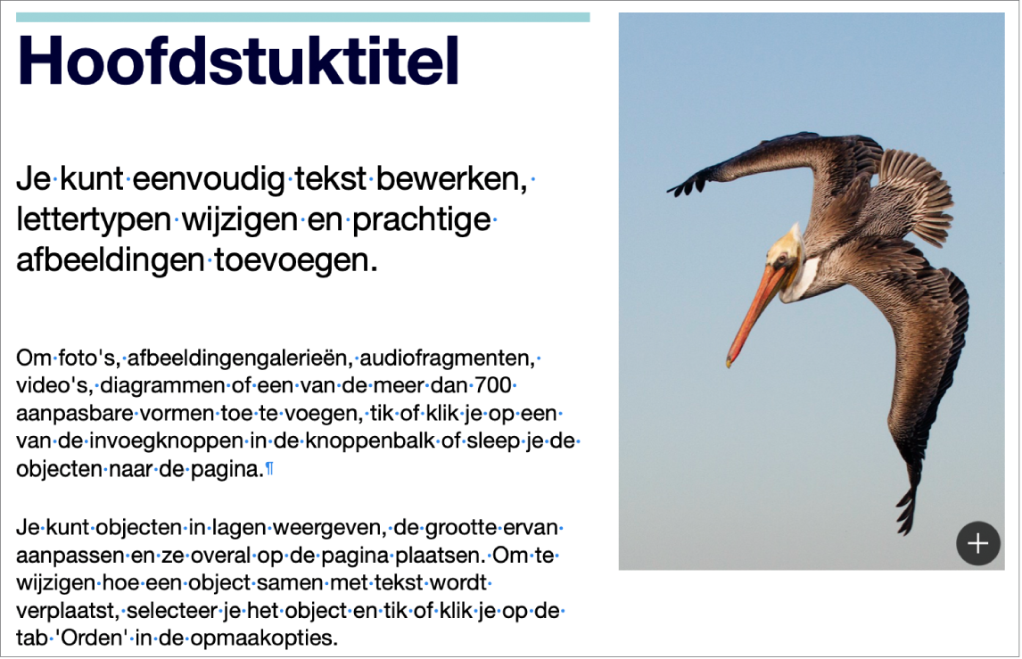 Tekst met symbolen voor een alinea-einde en een sectie-einde.