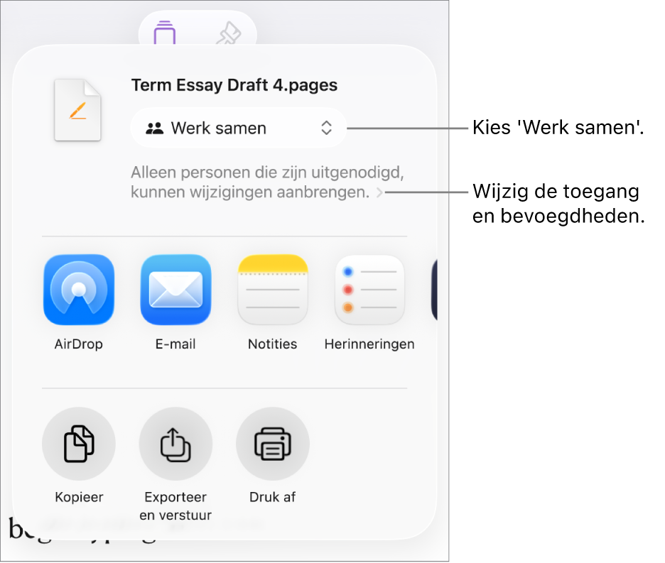 Het Deel-menu waarin bovenin 'Werk samen' is geselecteerd. Eronder staan toegangsinstellingen en bevoegdheden.