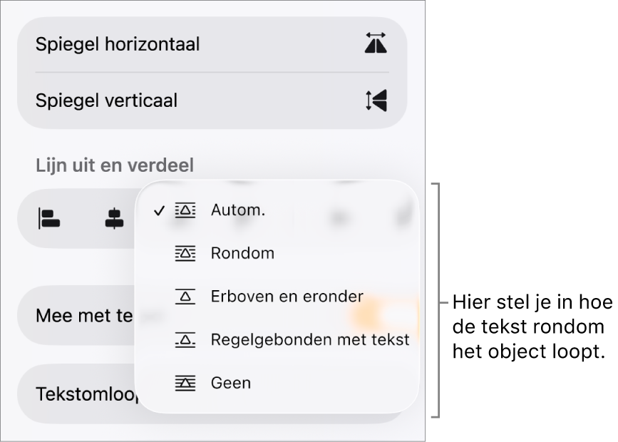 Het tabblad 'Orden' in het paneel met opmaakregelaars. In het tabblad staan regelaars voor tekstomloop met 'Naar achteren/Naar voren', 'Mee met tekst' en 'Tekstomloop'.