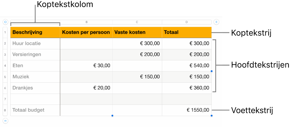 Een tabel met koptekst-, hoofdtekst- en voettekstrijen en -kolommen.