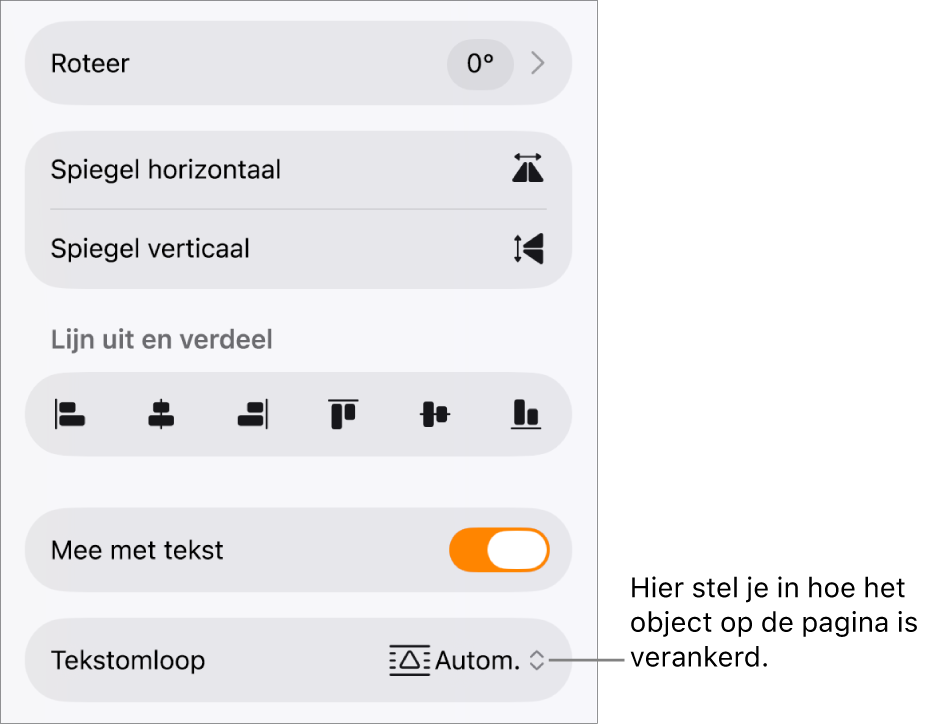 Het tabblad 'Orden' in het paneel met opmaakregelaars en regelaars voor 'Naar achteren/Naar voren', 'Mee met tekst' en 'Tekstomloop'.