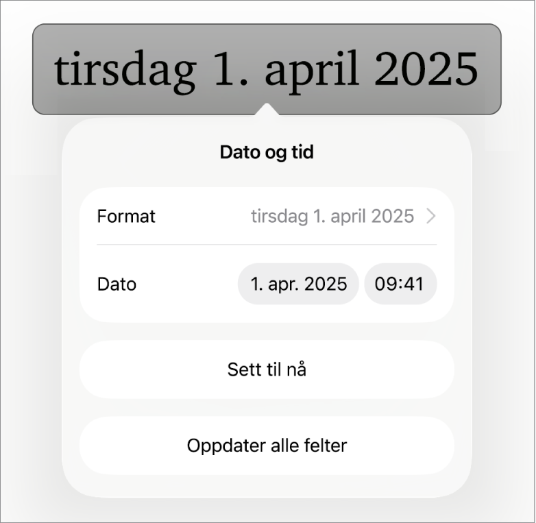 Dato og tid-kontrollene, med en lokalmeny for datoformat, og knappen Sett til nå- og Oppdater alle felter-knapper.