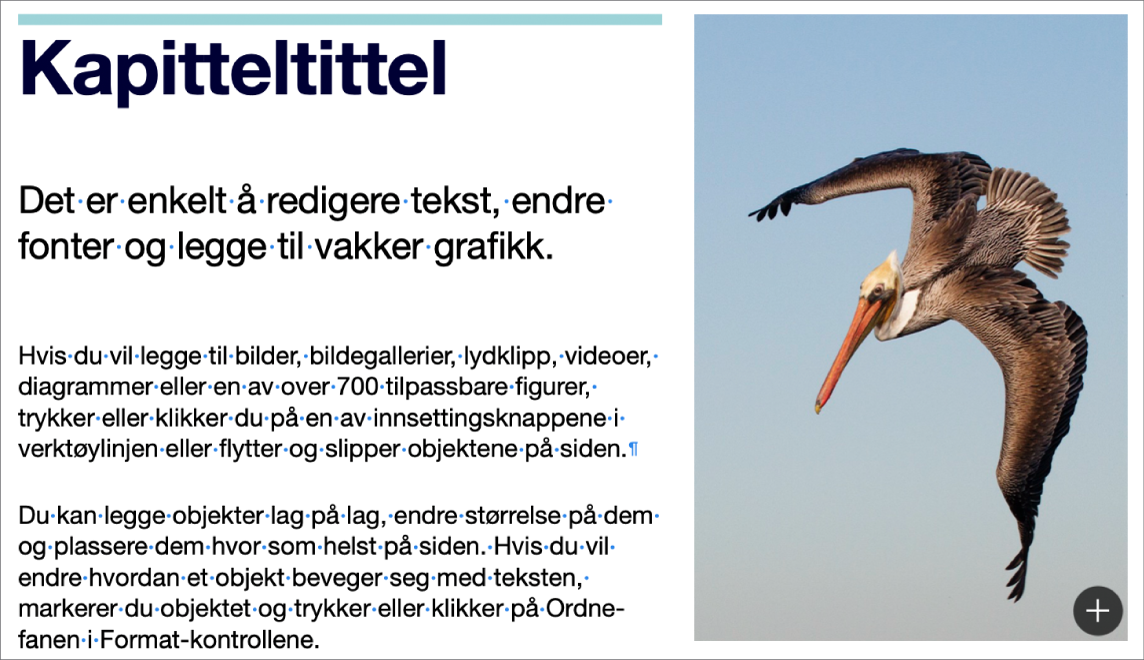 Tekst med symboler for et avsnittsskift og et inndelingsskift.