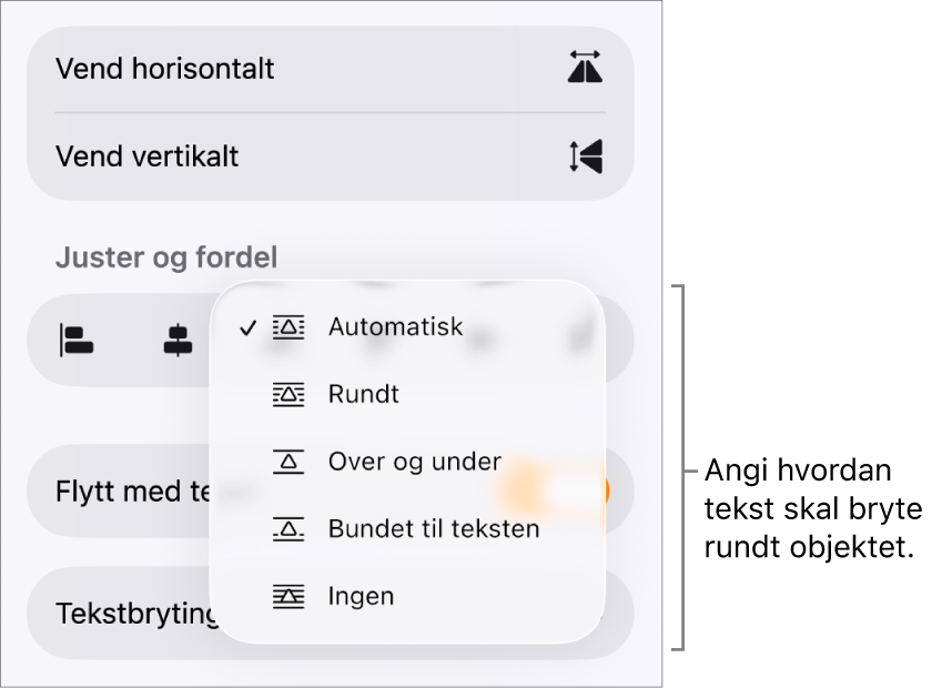 Format-kontrollene med Ordne-fanen markert. Under vises Tekstbryting-kontrollene med Flytt nederst/øverst, Flytt med tekst og Tekstbryting.
