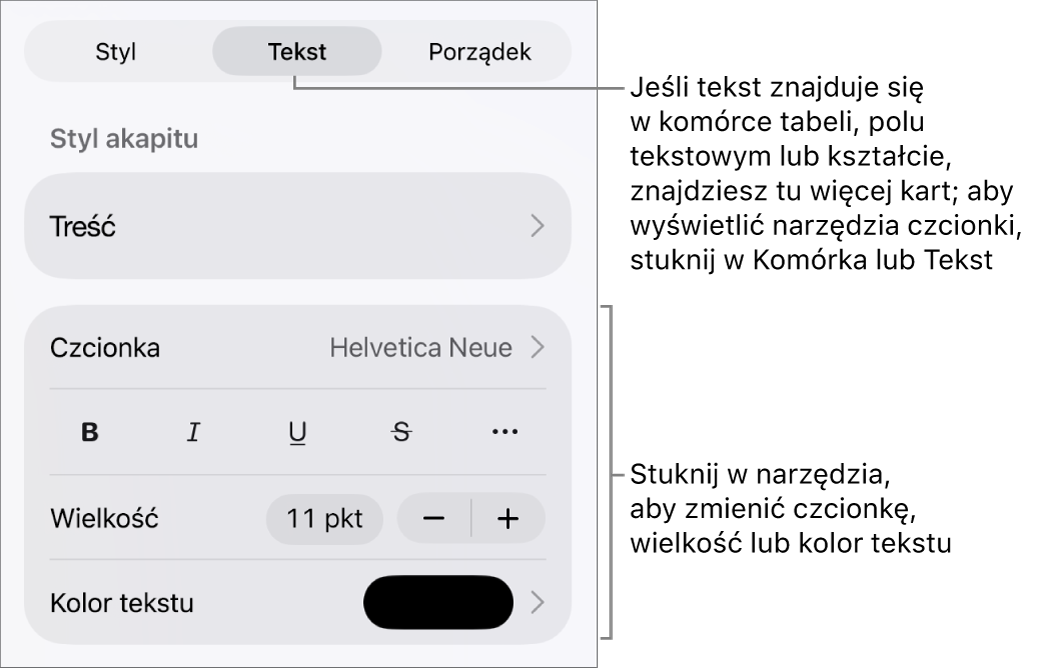 Narzędzia tekstów w menu Format służą do ustawiania stylów akapitu i znaków oraz czcionek ich wielkości i koloru.