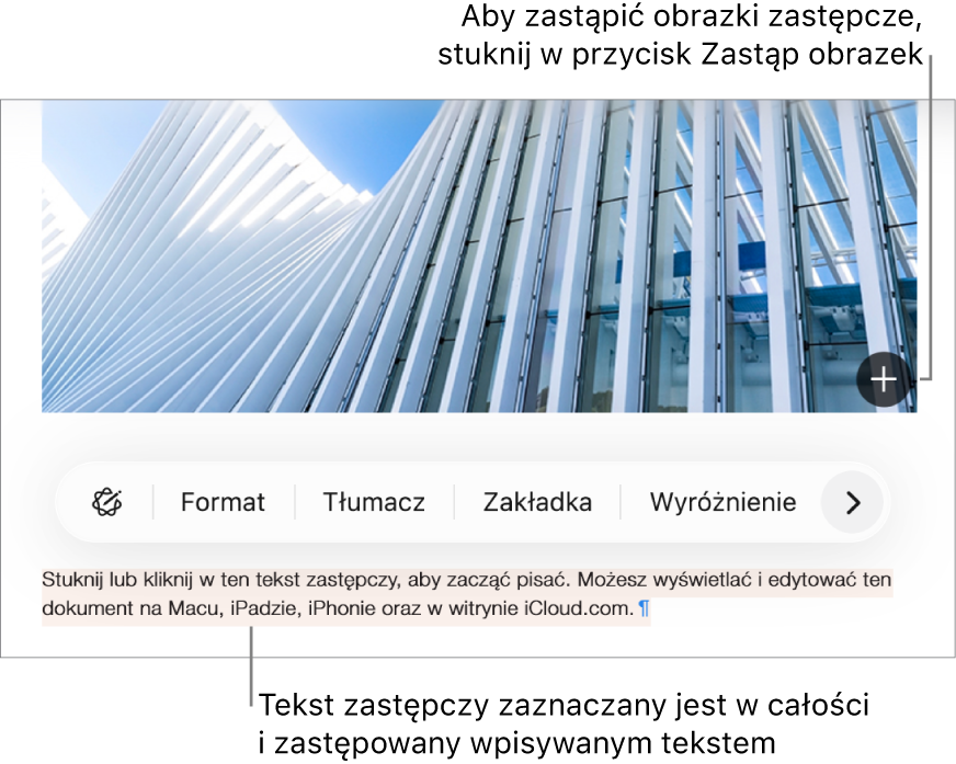 Tekst zastępczy i obrazki zastępcze.