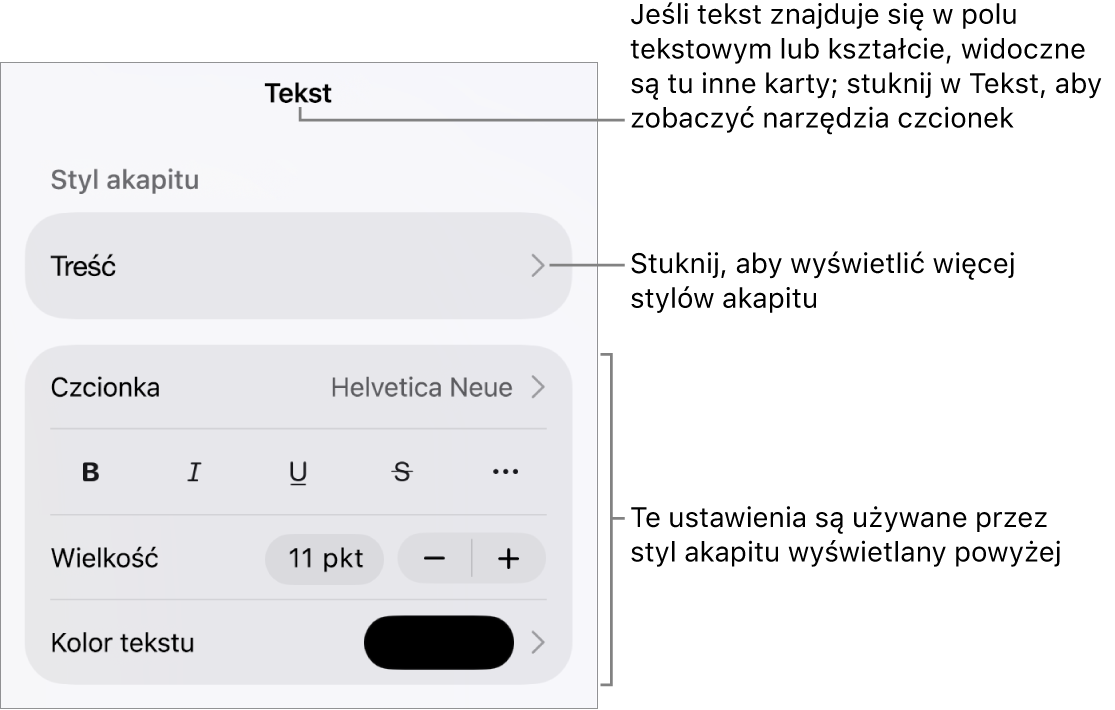 Menu Format z narzędziami tekstu pozwalającymi na ustawianie stylów akapitu, stylów znaków, czcionki, wielkości oraz koloru.