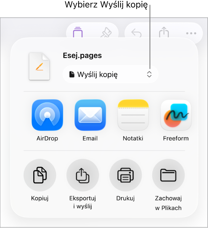 Menu udostępniania z wybraną opcją Wyślij kopię (na górze).