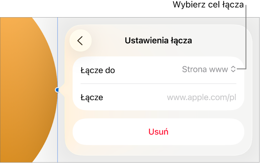 Narzędzia Ustawienia łącza; wybrane jest narzędzie Strona www; na dole znajduje się przycisk Usuń.
