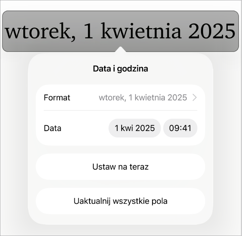 Narzędzia daty i czasu. Widoczne jest menu podręczne formatu daty i przyciski Ustaw na dzisiaj oraz Uaktualnij wszystkie pola.