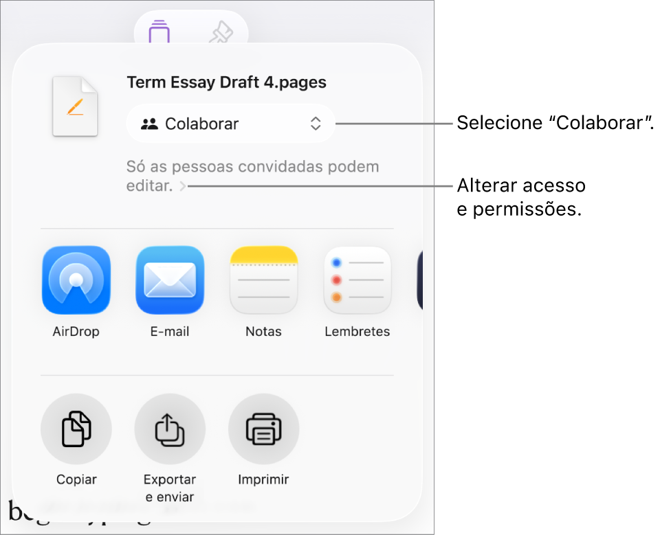 O menu "Partilha” com “Colaboração” selecionada na parte superior e as definições de acesso e permissão por baixo.