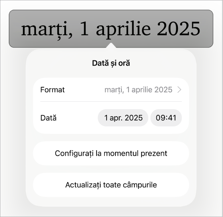 Fereastra comenzilor Dată și oră afișând un meniu pop-up pentru formatarea datei și butoanele Configurați la momentul prezent și Actualizați toate câmpurile.
